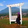 Ani Noviyanti