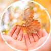🍂
