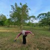 Galuh