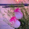 🦋elti tz🦋