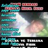 Ujhok Nawan KatekPantang