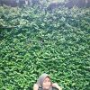Dwi Irwanto