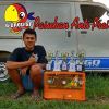 Nur Alim