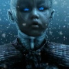 hits and top videos