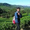 Hendra Flow