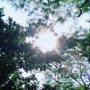 Cô Nàng Cự Giải