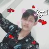 Tha Nobi