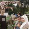 fadzlie roy