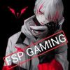 FSP Gaming