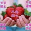 明天会更好🌈