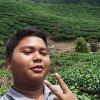 Adat Resam