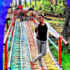 Green Jungle