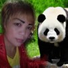 banteng