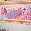 露紫薇