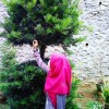 NRHNIEYSA