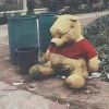 หมีข้างถังขยะ