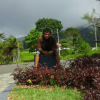 siswanda