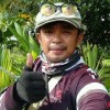 KK suri