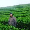 Wawan Munadi