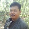 Kadir 2019