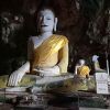 น้องชมพู บำรุงชาติ