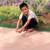 Tipwan Chaisa