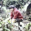 Iksan Nurdiansyah