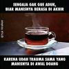 Safira