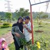 Shafa