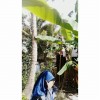 Dema Septiani Saputri