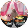 Ara Andra