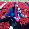 Chelle Heart