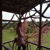 Debby Syafriah