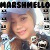 Risma Codet