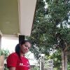 sinta tefa