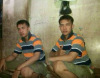 teguh suprianto
