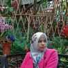 Dety Alfyan