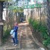 Hanii Rohayani
