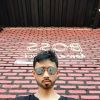 Yogi Endleesdream