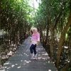 Prischa Yuni Aristy