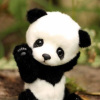 Cookie Panda