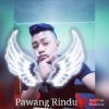 alwi saputra