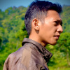 dody nusantara