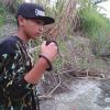 Agus Agus