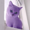 ꧁𝄞᭄💜Rhani💜𝄞 ‪᭄꧂