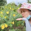 Cheryl  Yellowbird