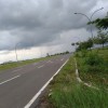 meynisah