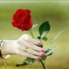 Wulan