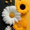 Ambu_Anna