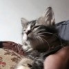 Entah Bantai Jela